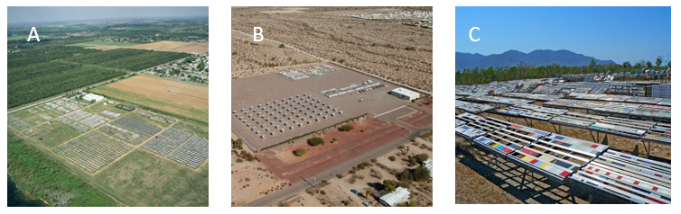 3 main sites in the world where exposure tests are conducted